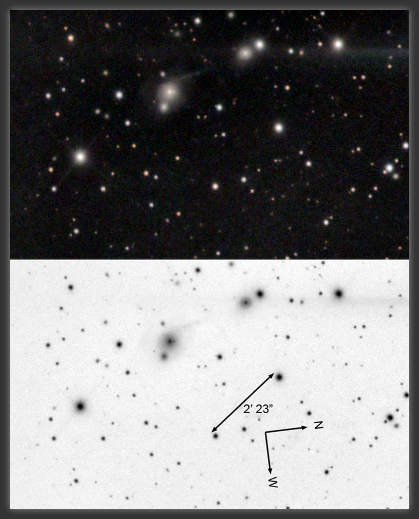 ARP-103