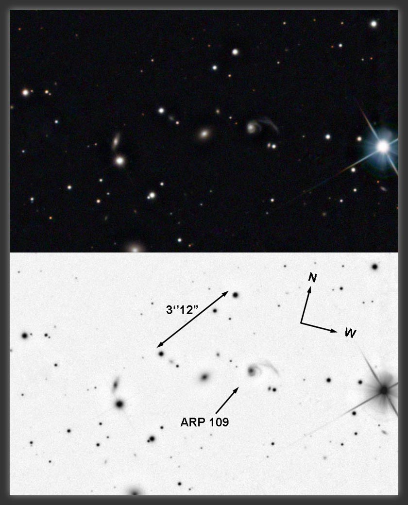 ARP-109