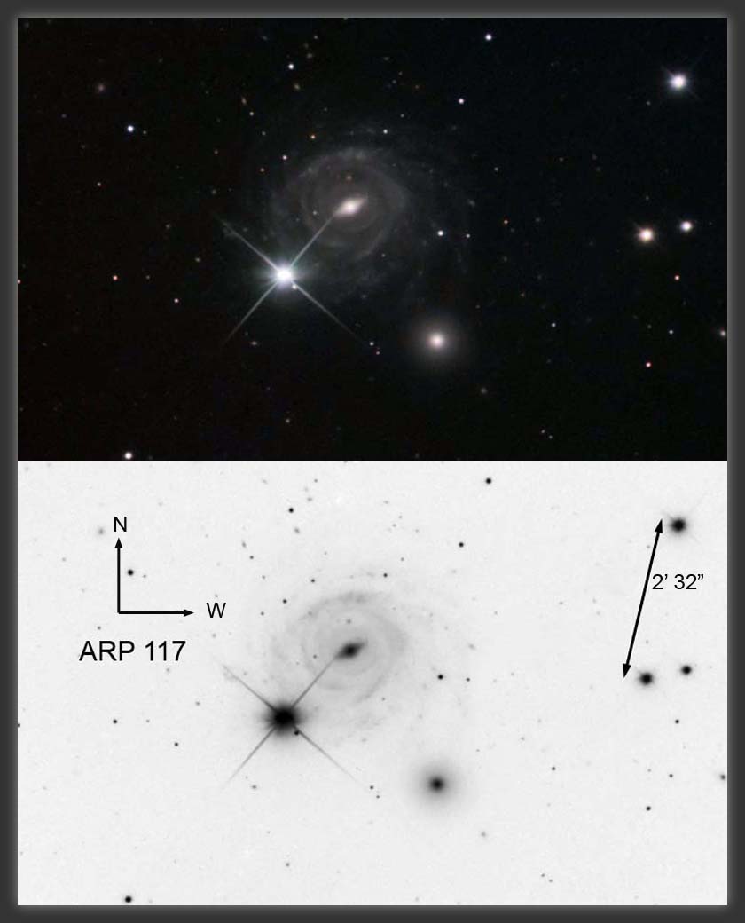 ARP-117