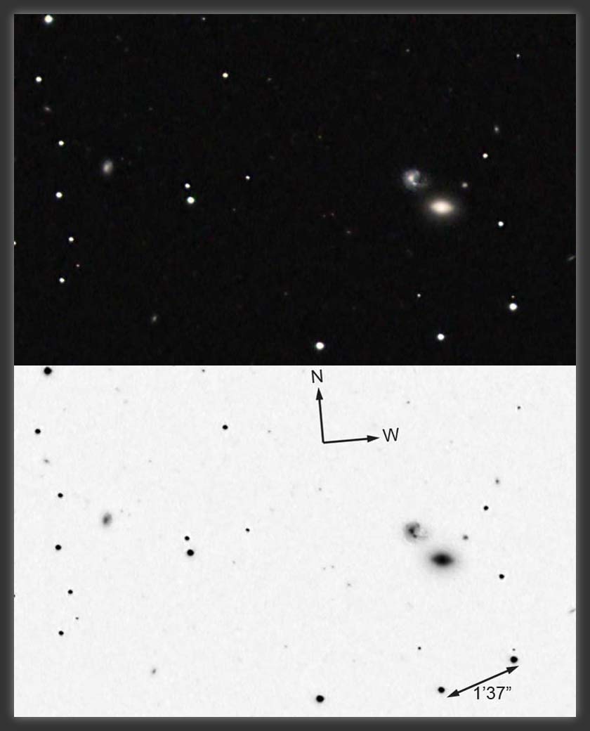ARP-131