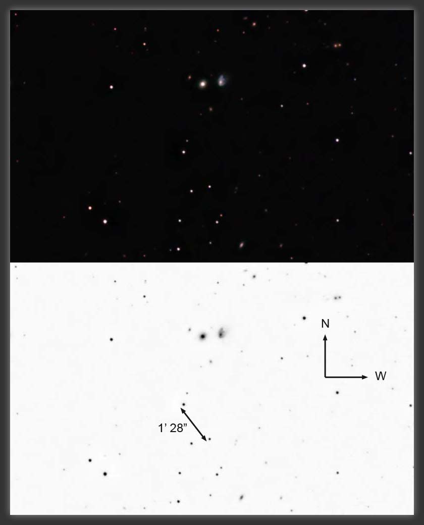 ARP-132