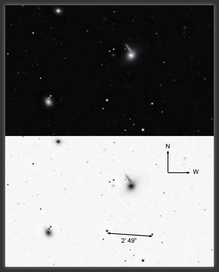 ARP-138