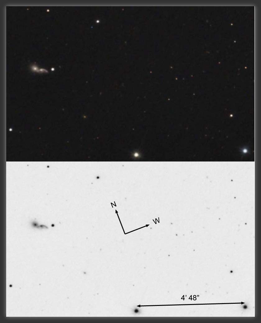 ARP-139