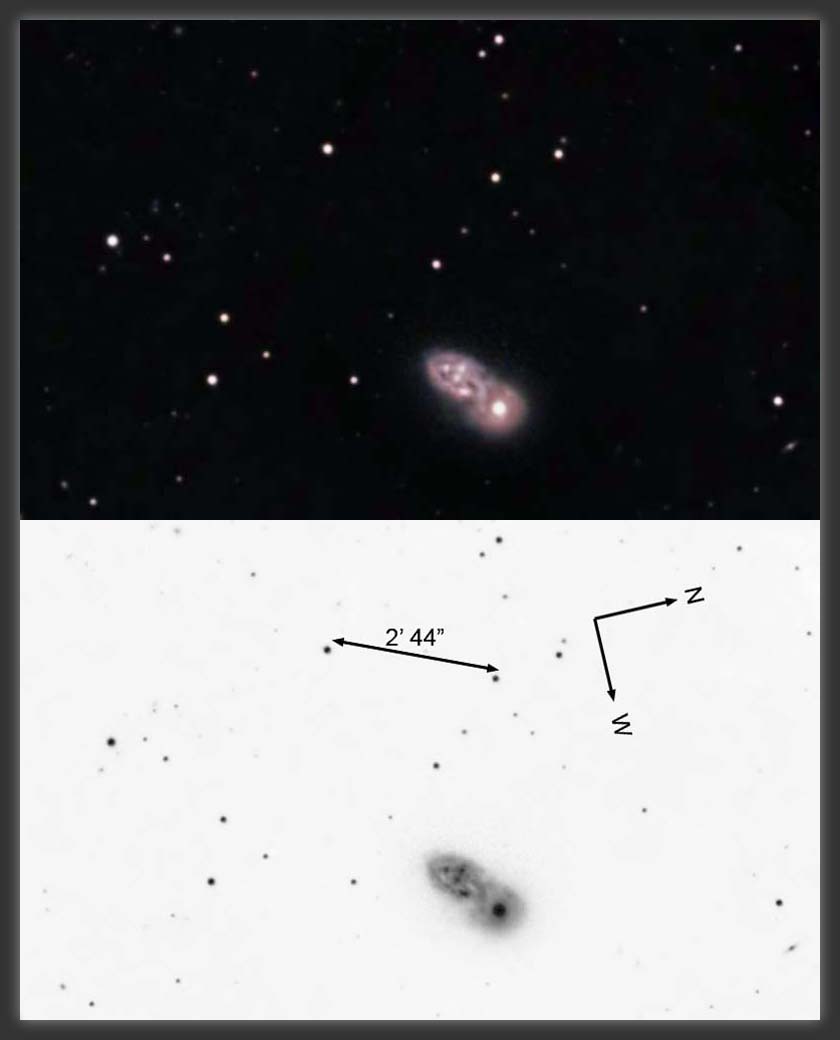ARP-140