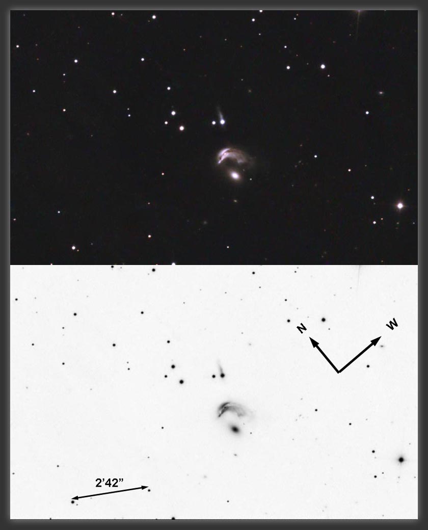 ARP-142