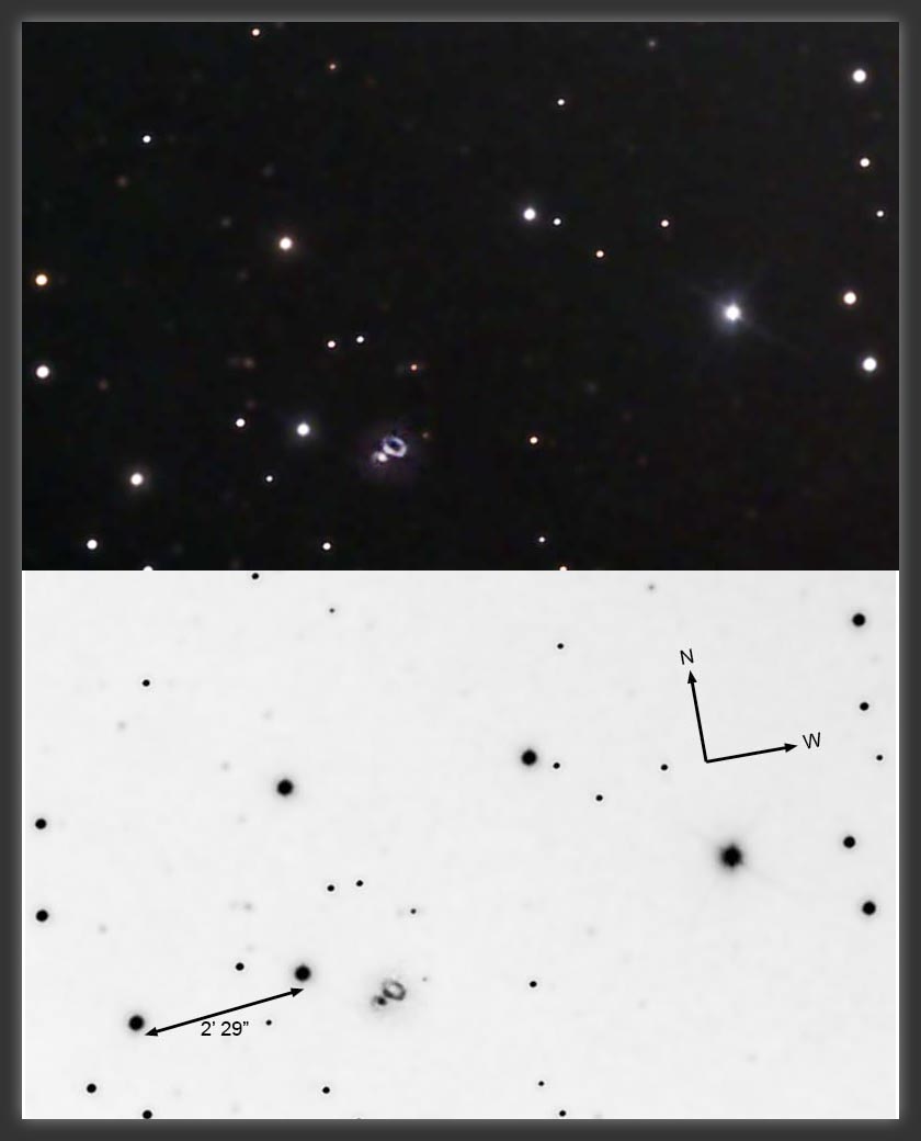 ARP-146