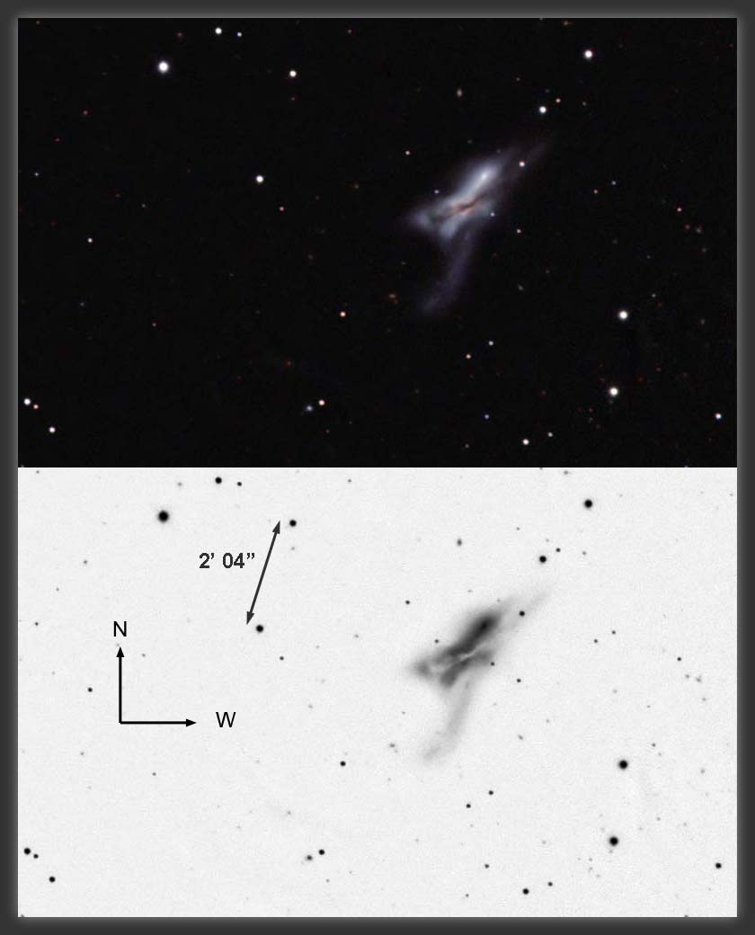 ARP-157