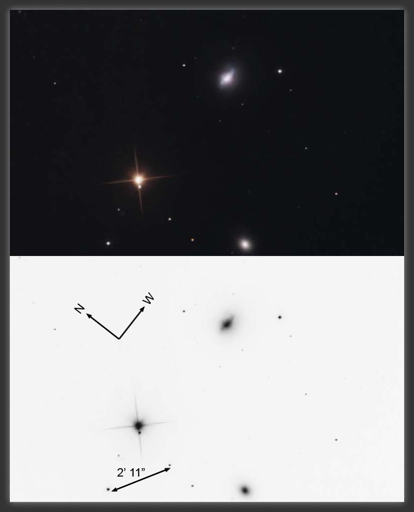 ARP-163