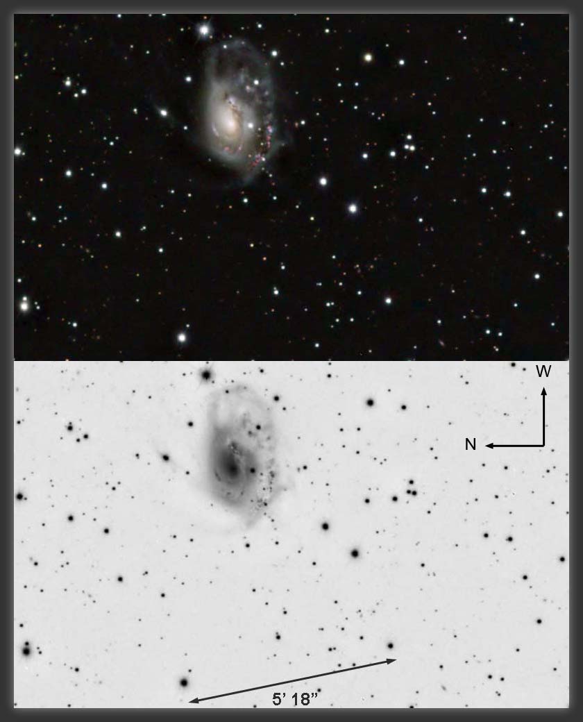 ARP-184