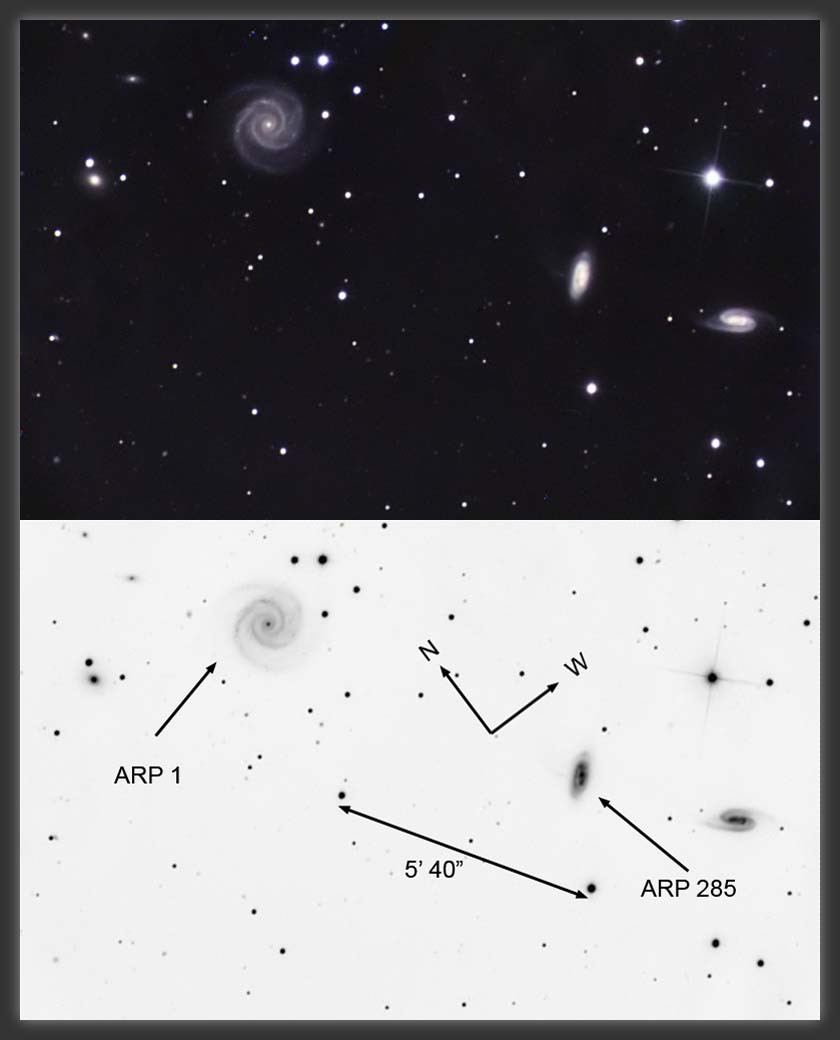 ARP-1
