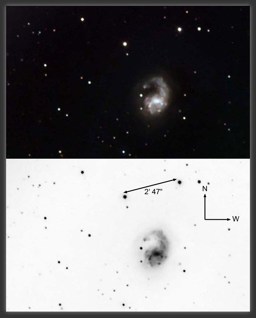 Arp22
