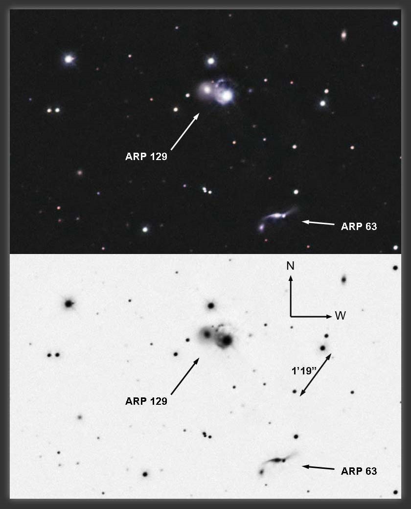 ARP63