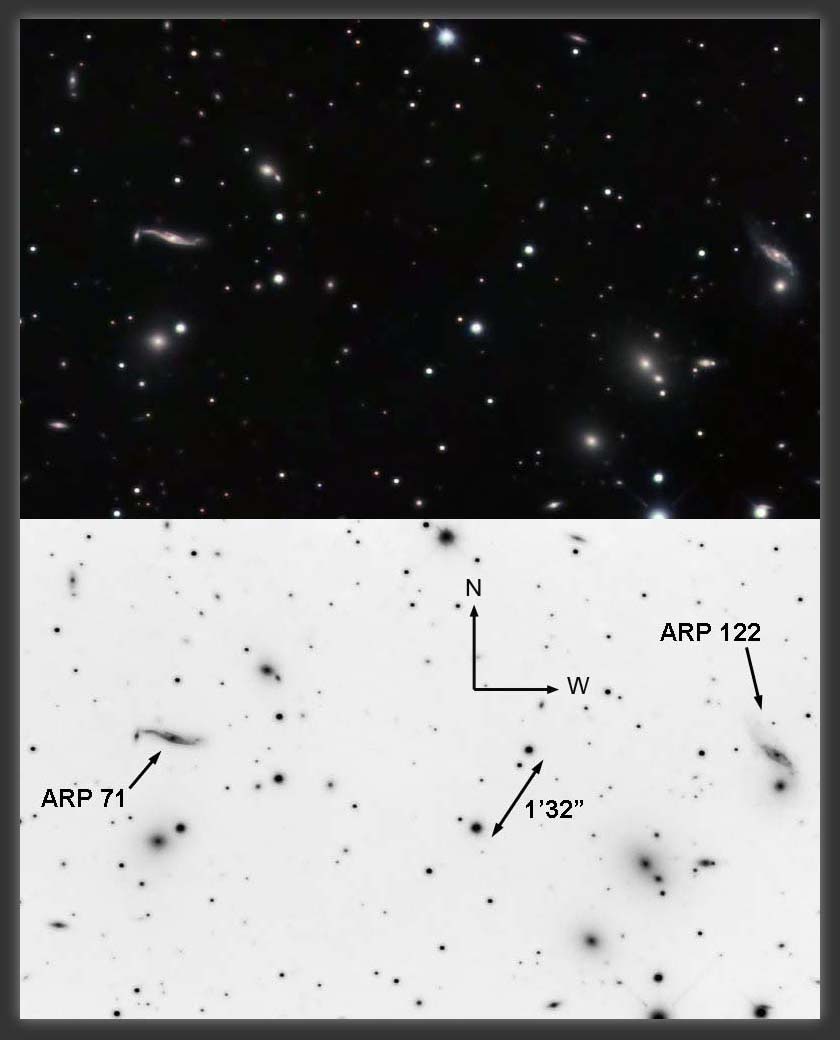 ARP-71