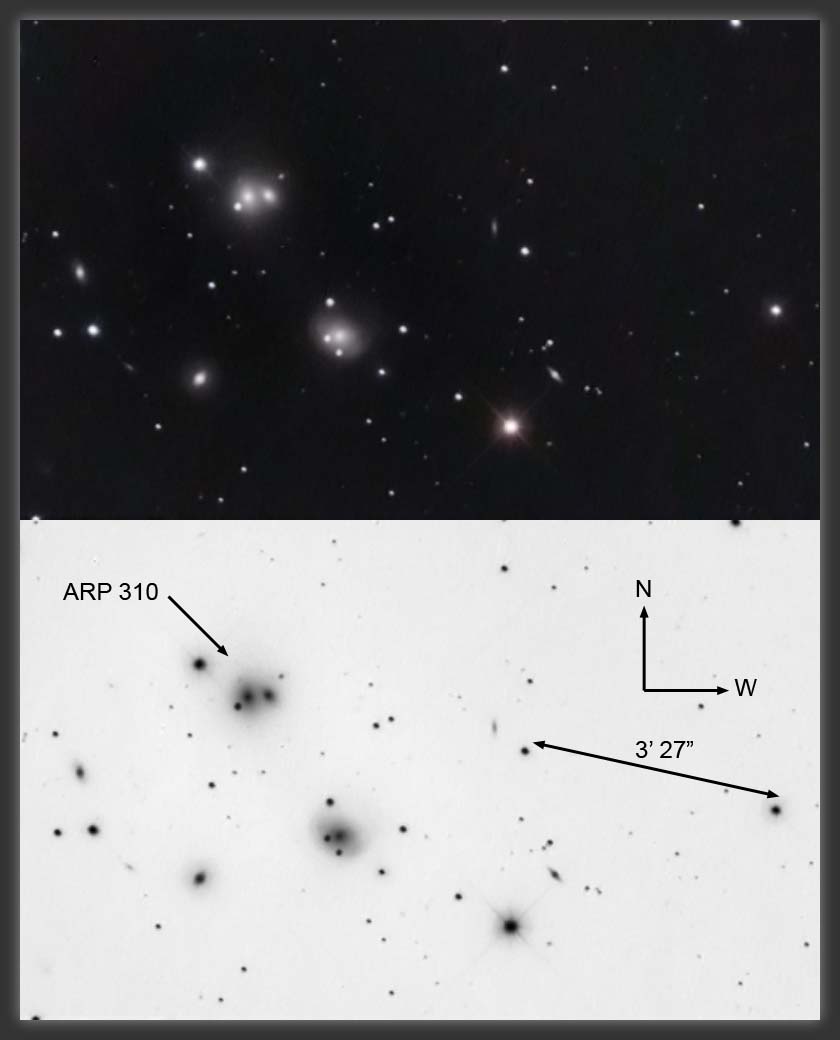 ARP-310