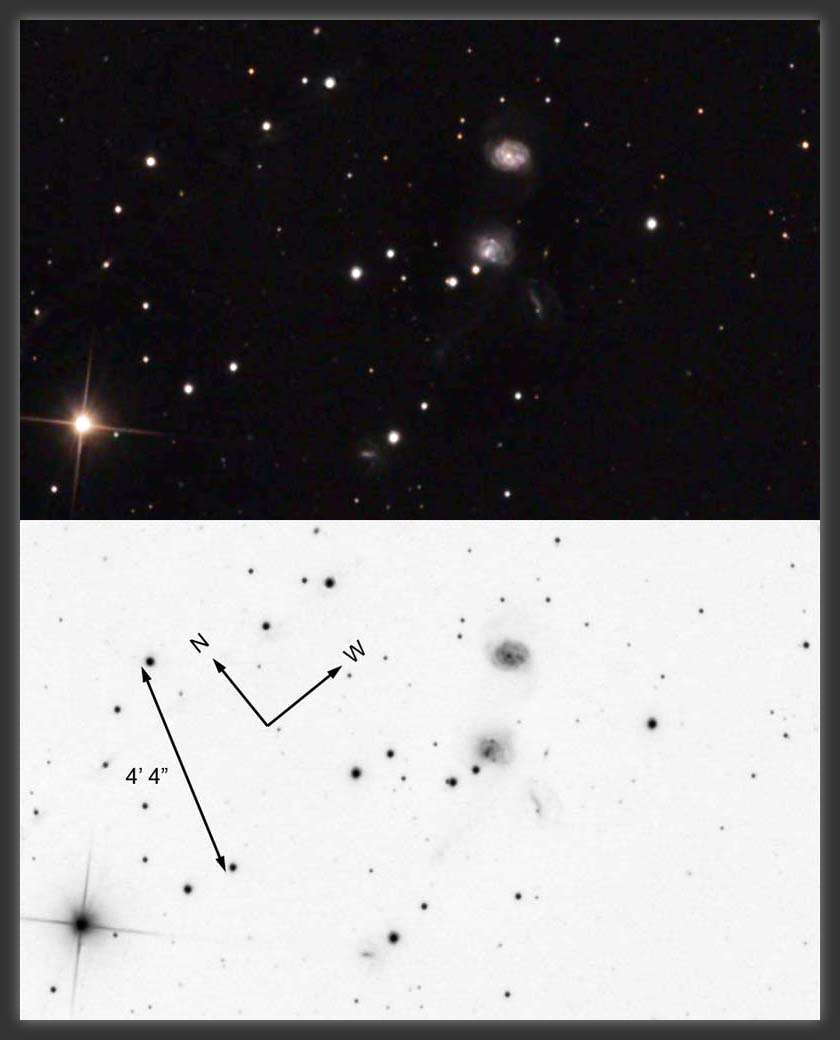 ARP-314