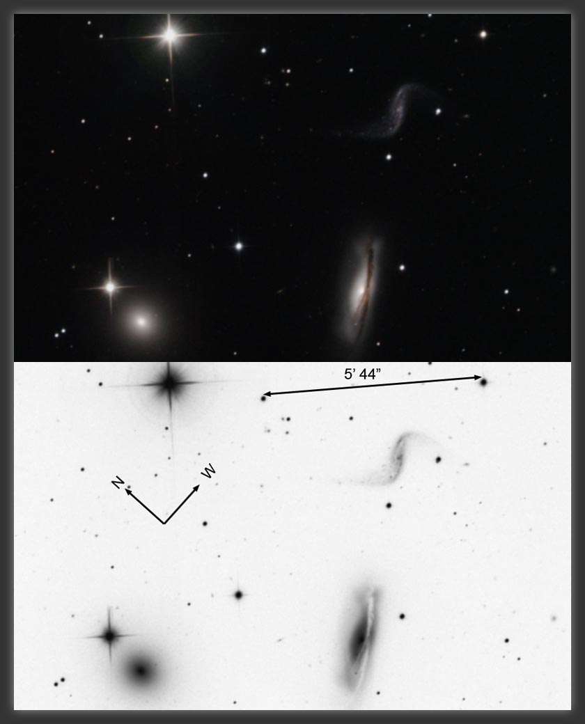 ARP_316