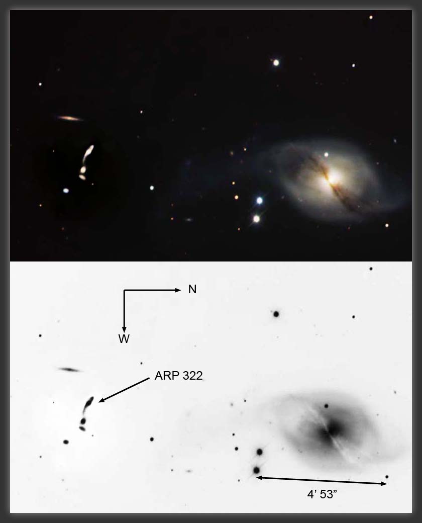 ARP-322