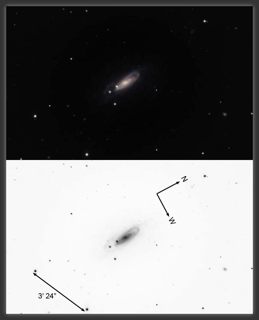 ARP-334