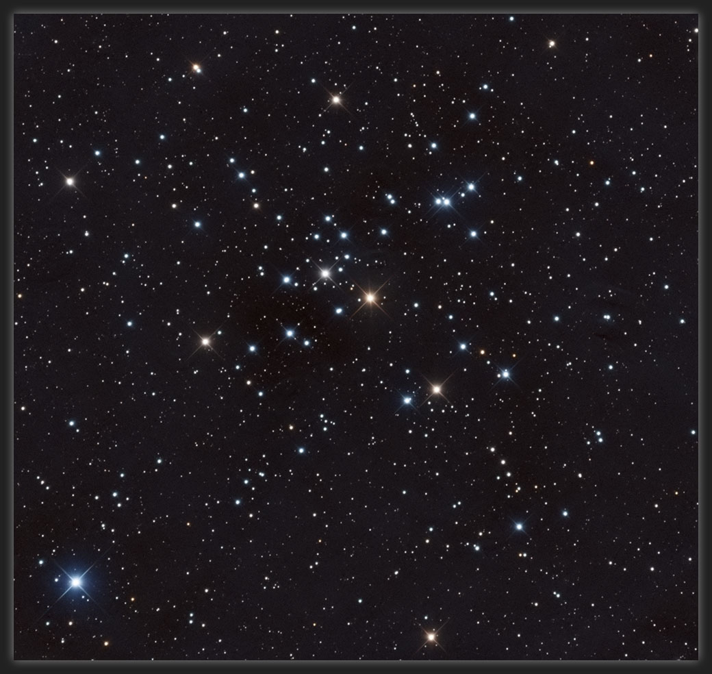 M41