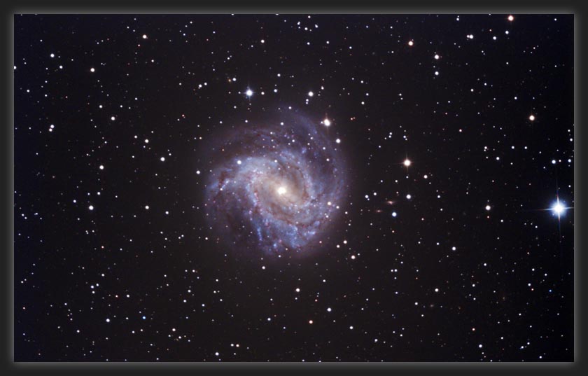 M-83