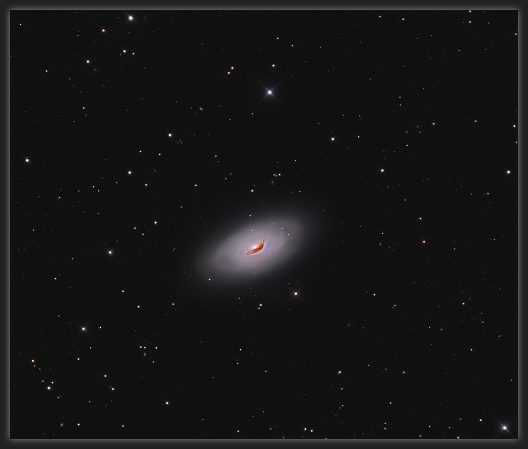 M64