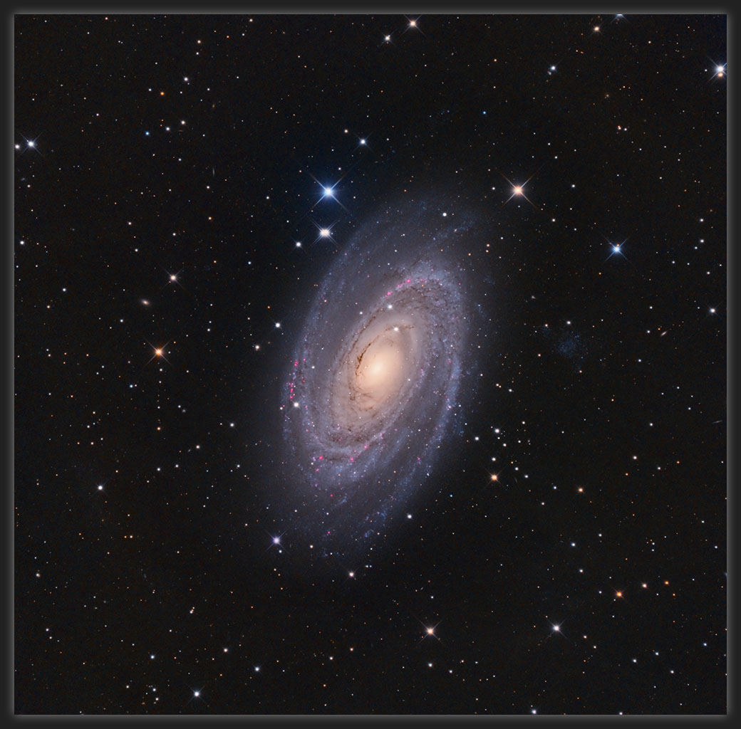 M81