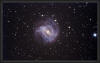 M-83