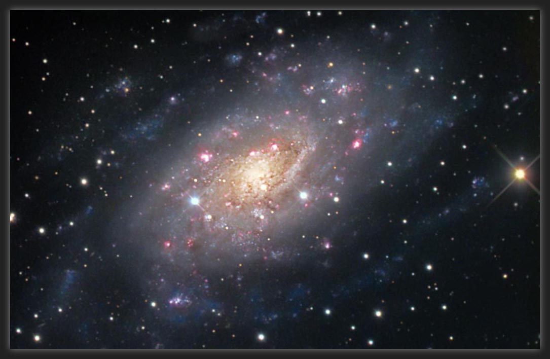 NGC 2403