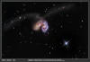 NGC-4038