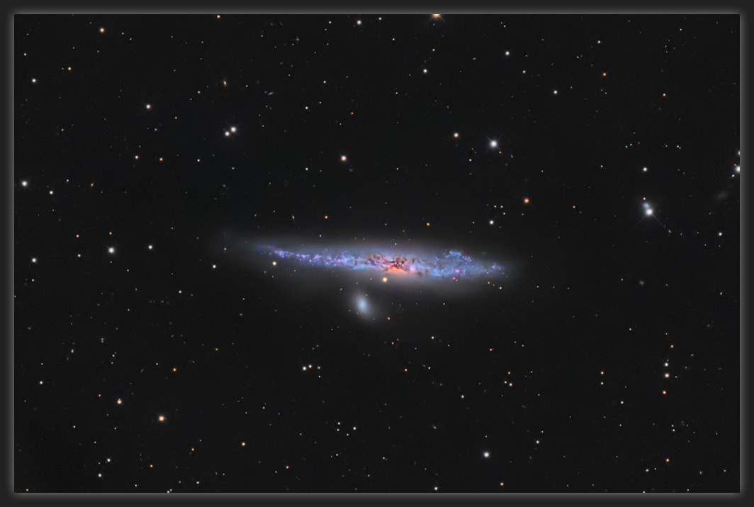 NGC4631