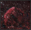 IC4432020