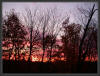 Coucher de soleil_8